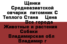 Щенки Среднеазиатской овчарки (питомник С Теплого Стана) › Цена ­ 20 000 - Все города Животные и растения » Собаки   . Владимирская обл.,Владимир г.